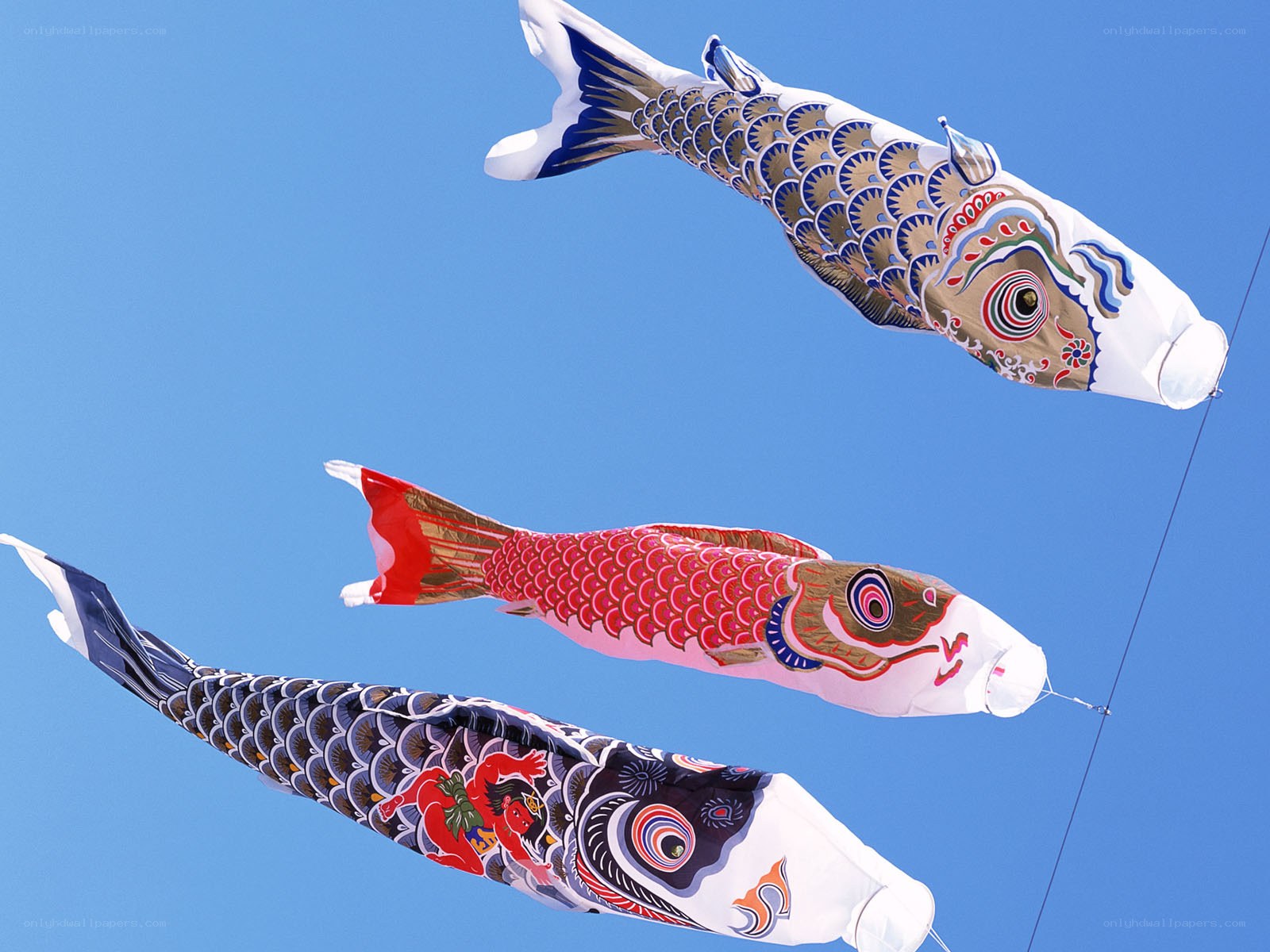 Three koi fish kites in the sky