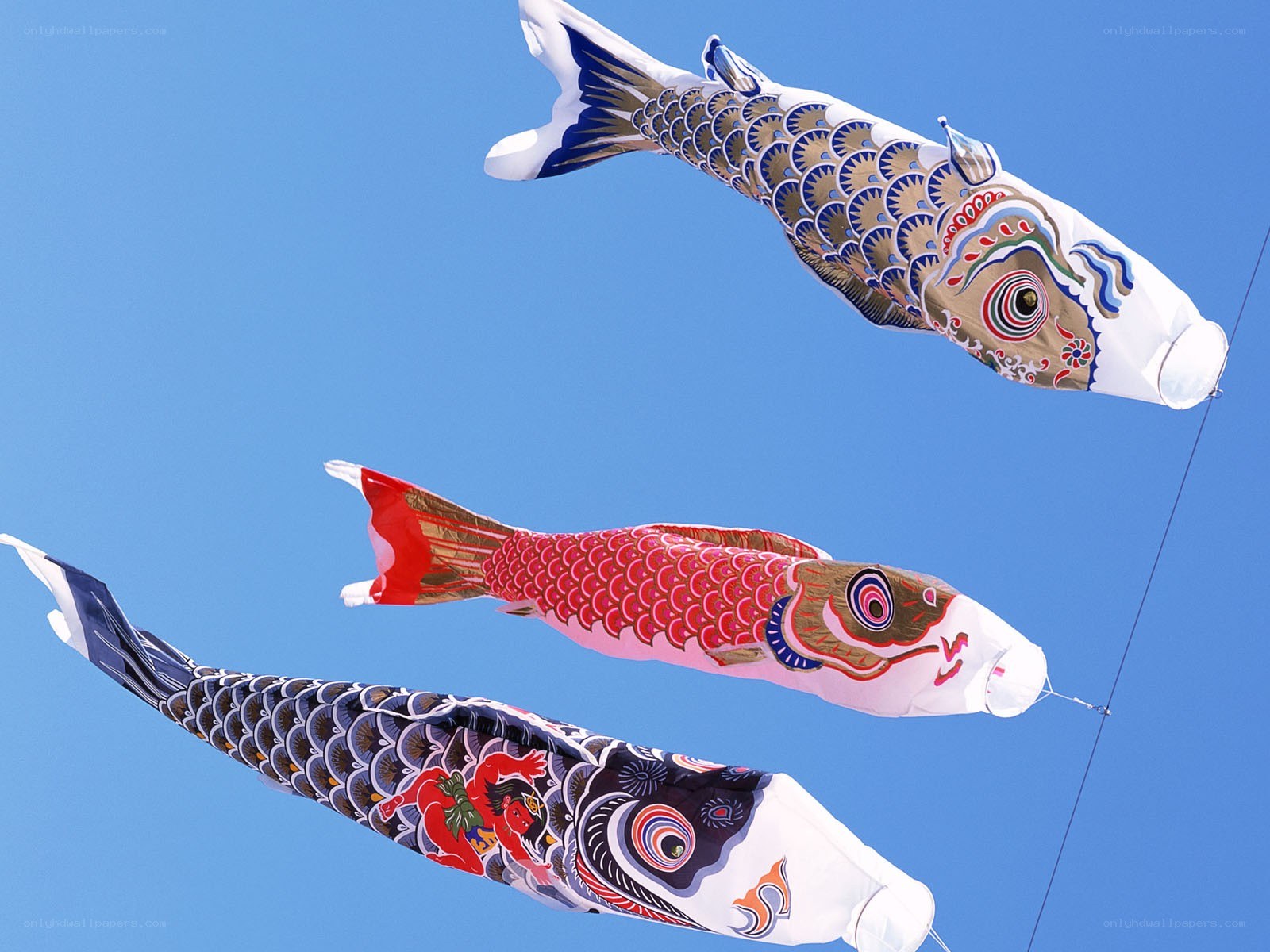 Three koi fish kites in the sky