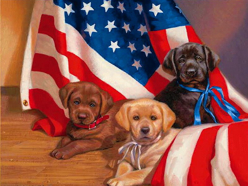 Three Labrador Puppies — Red