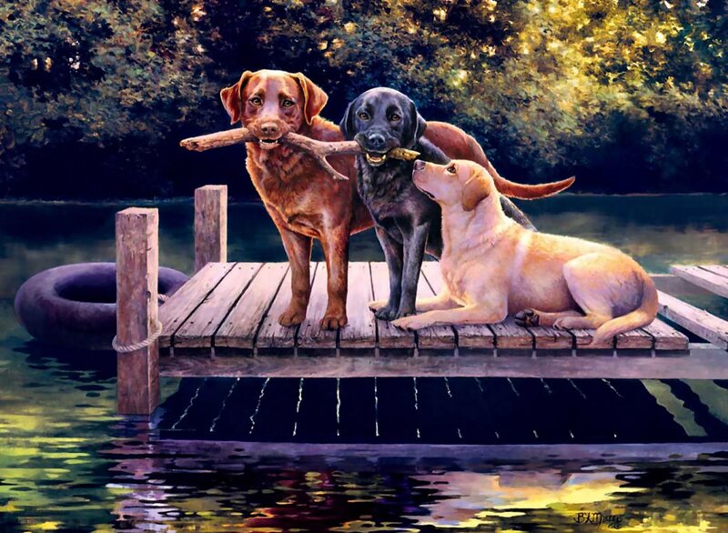 Three Labrador Retrievers — Brown, Serene, Afternoon