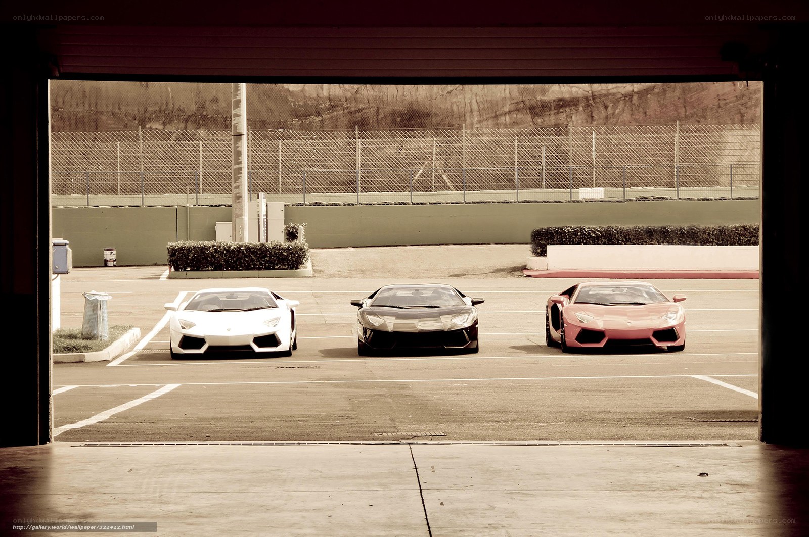 Three Lamborghini cars in garage