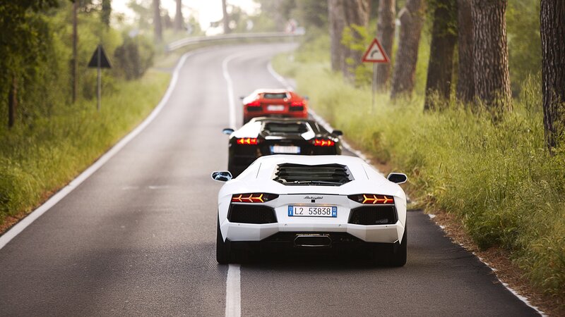 Three Lamborghini Cars — White