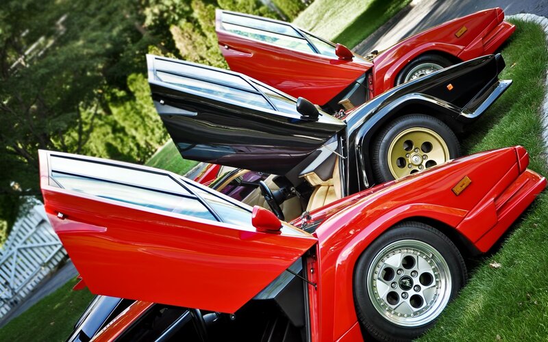 Three Lamborghini Countachs on grass