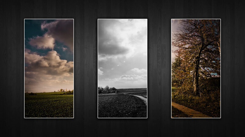 Three landscape panels