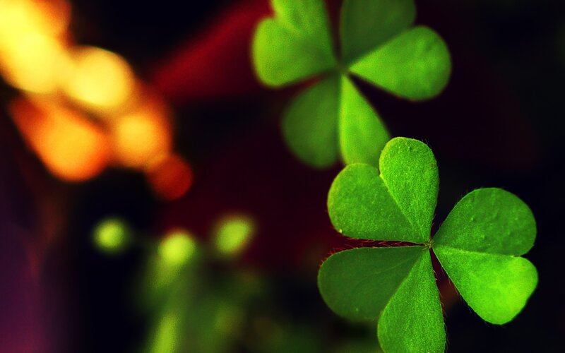 Three-leaf Clover — Green