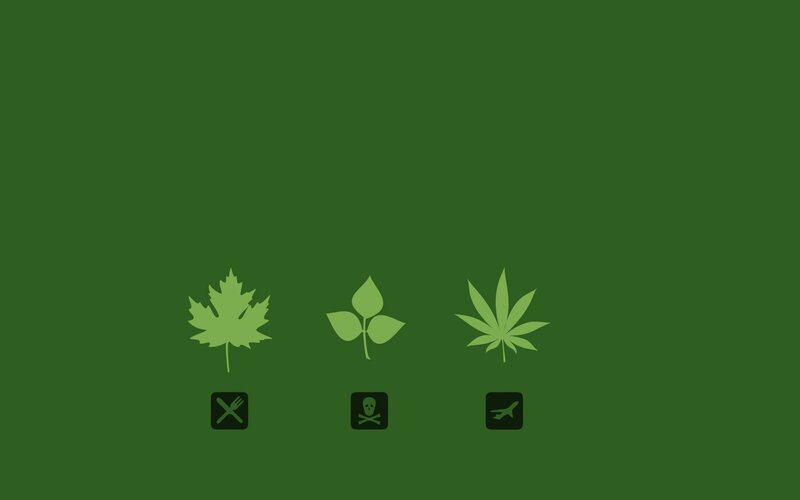 three leaf icons on green