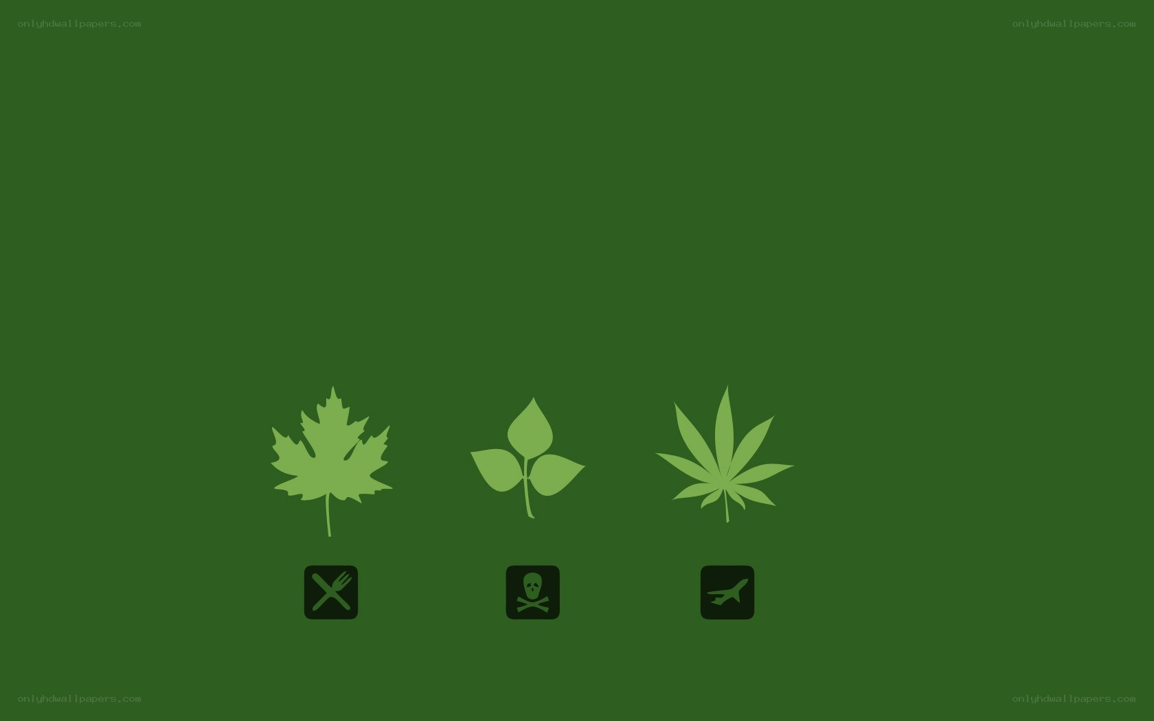 three leaf icons on green