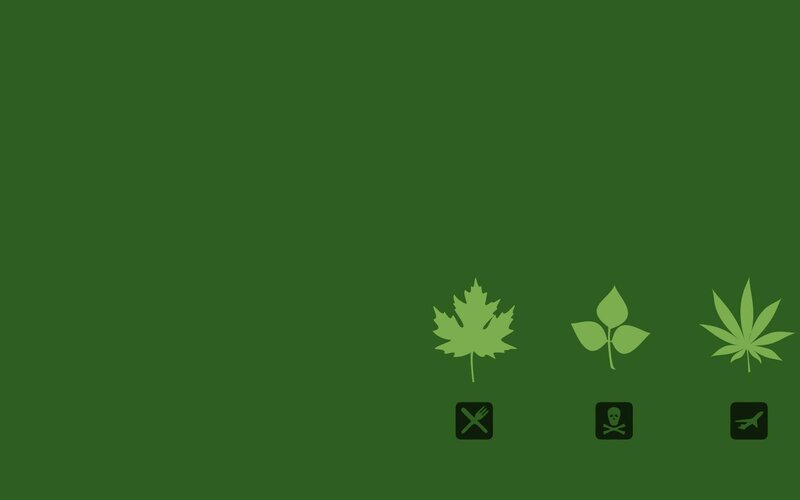 three leaf icons on green