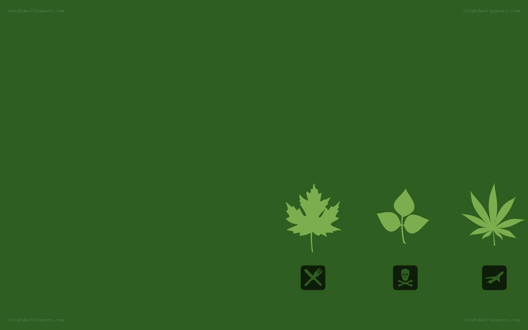 three leaf icons on green