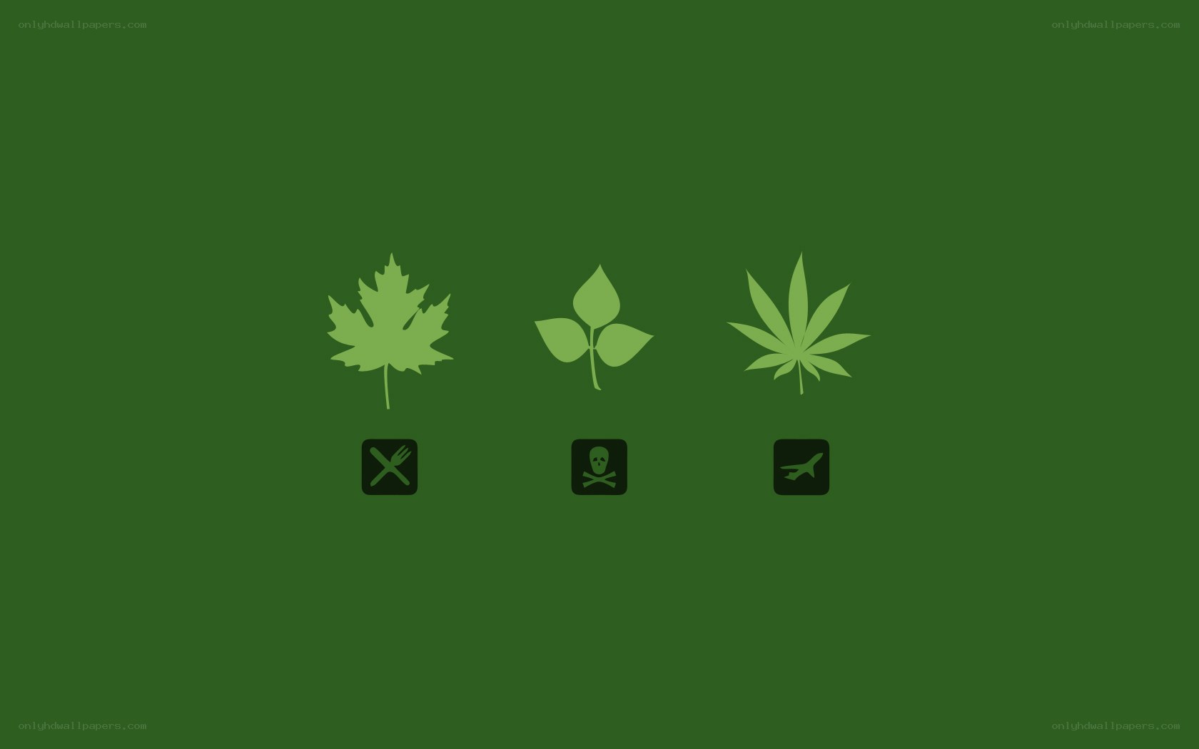 three leaf icons with symbols