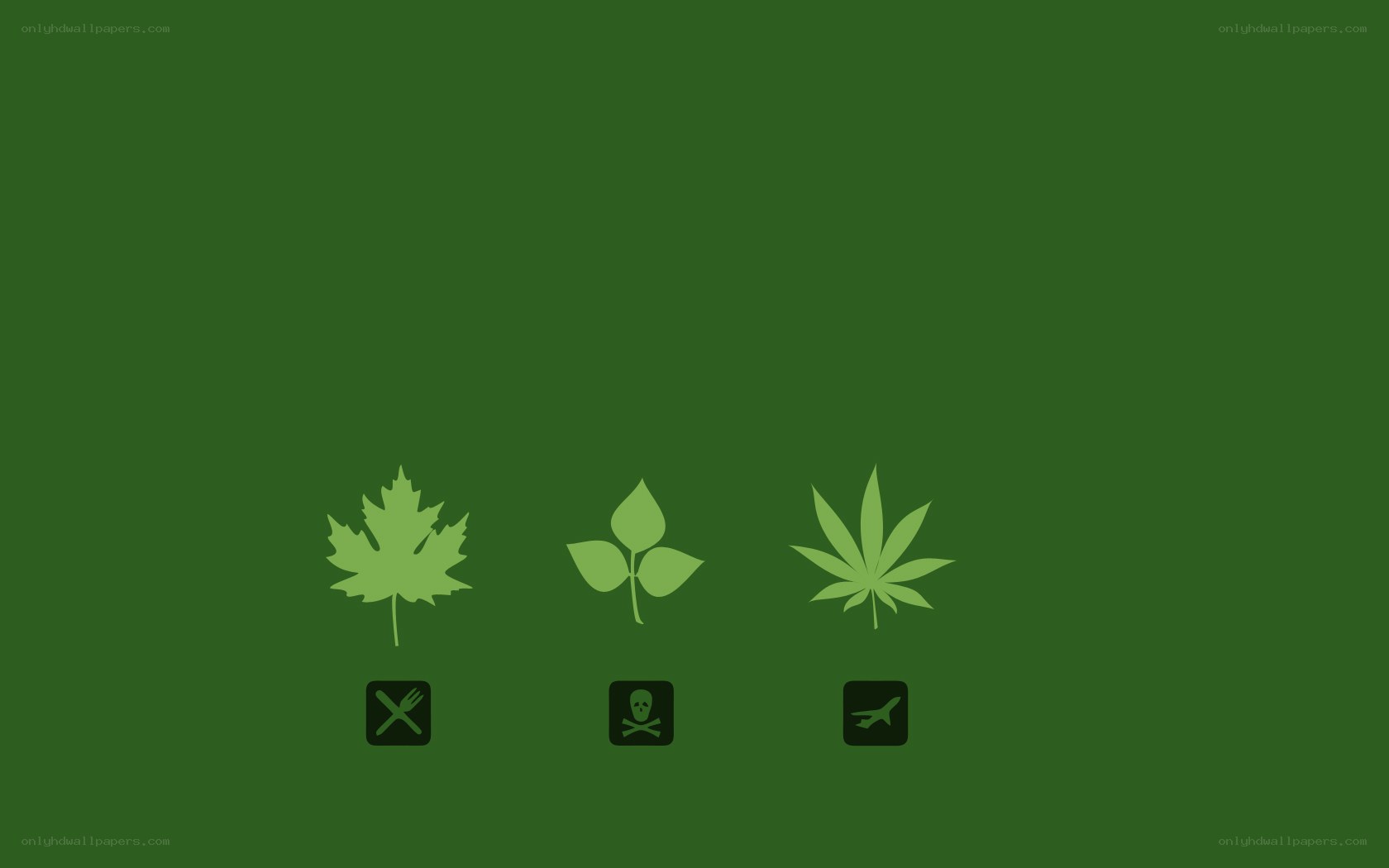 three leaf icons with symbols