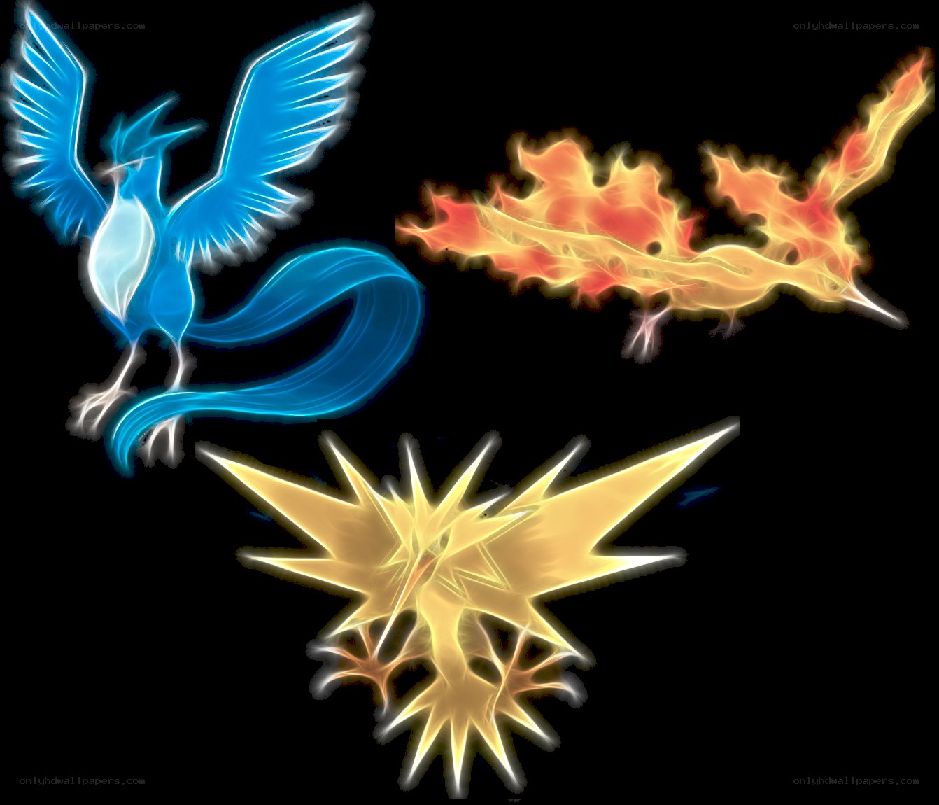 Three legendary birds