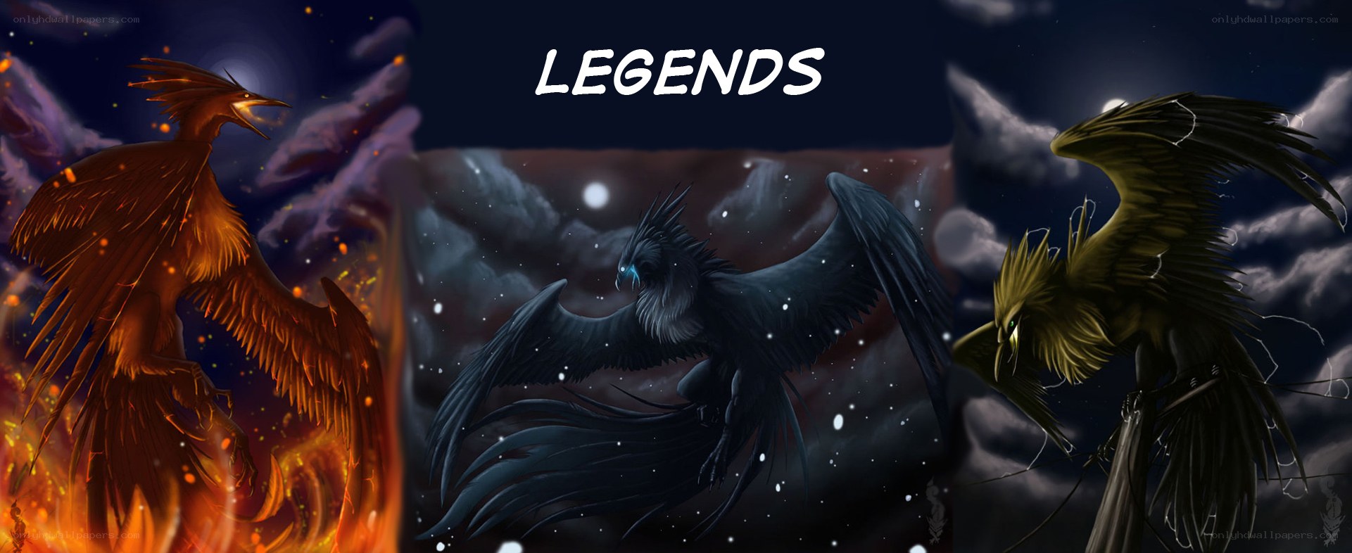 Three legendary birds