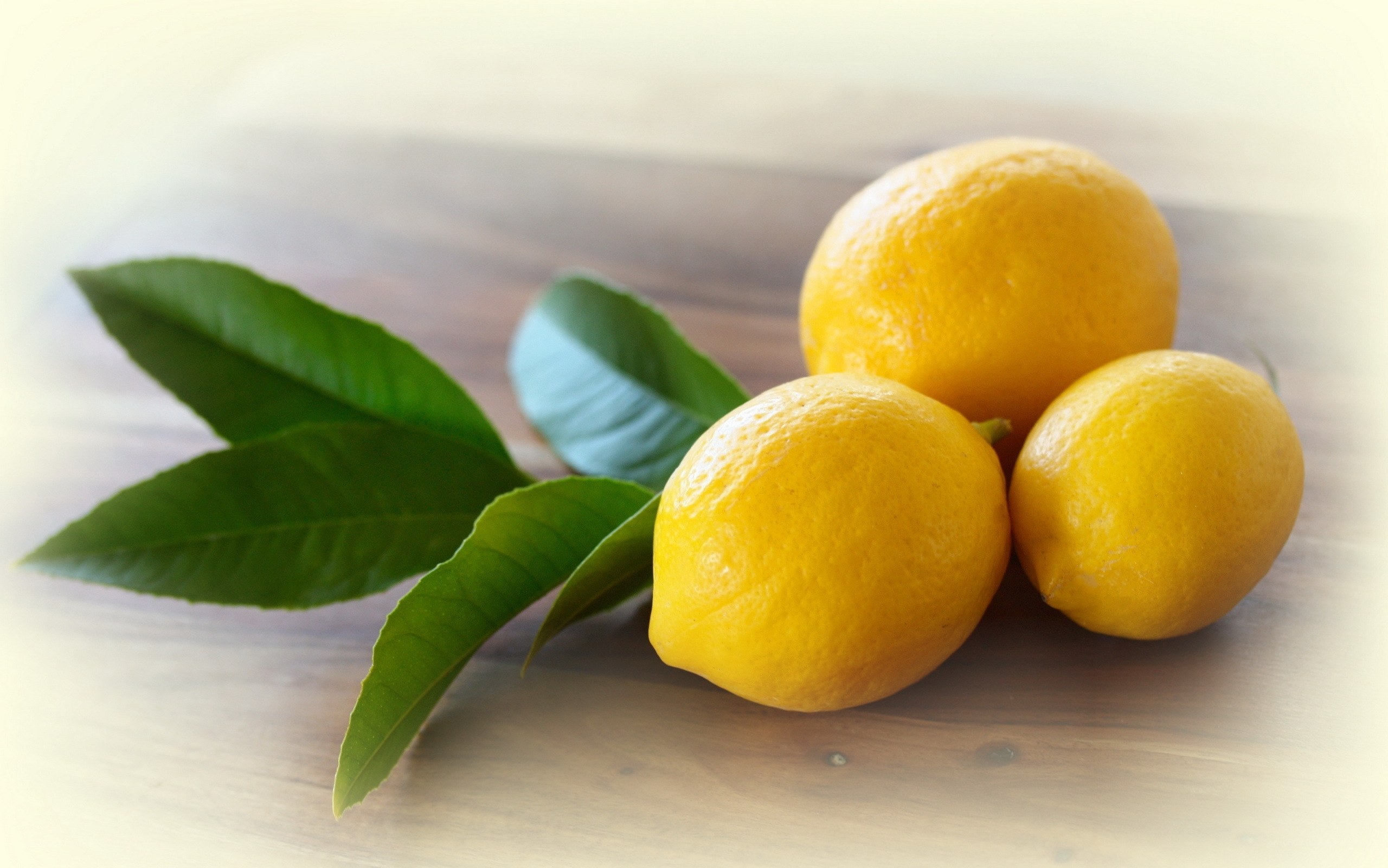 Three lemons with green leaves