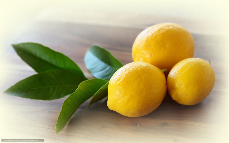 Three Lemons with Leaves — Yellow, Calm, Photograph