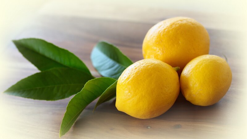 Three Lemons with Leaves — Yellow, Calm