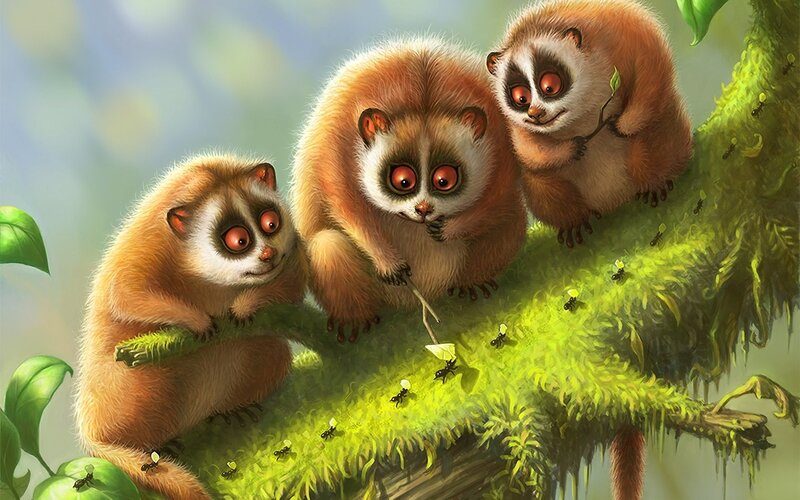 Three Lemurs on a Branch