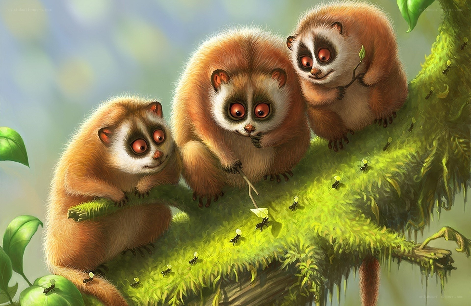 Three lemurs on a mossy branch