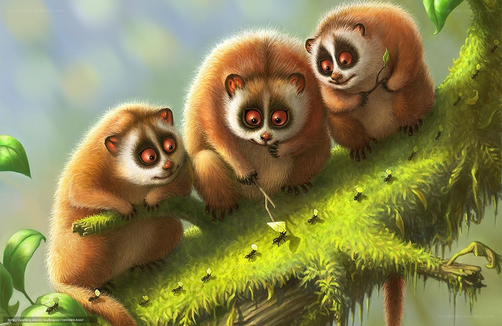 Three lemurs on a mossy branch
