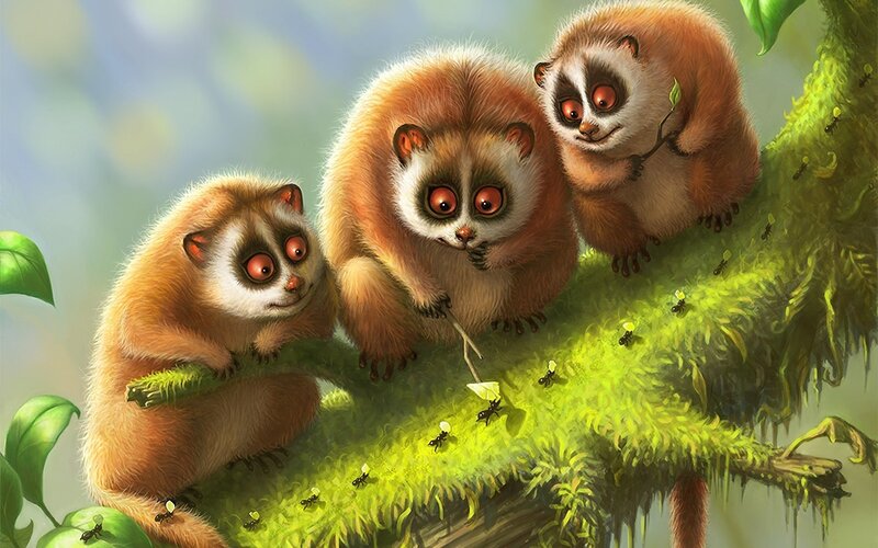 Three Lemurs on Branch — Green, Playful