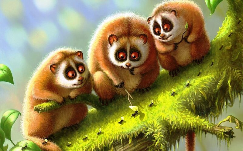 Three Lemurs on Branch — Green