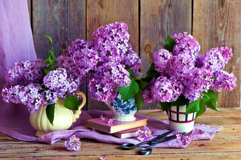 Three Lilac Bouquets