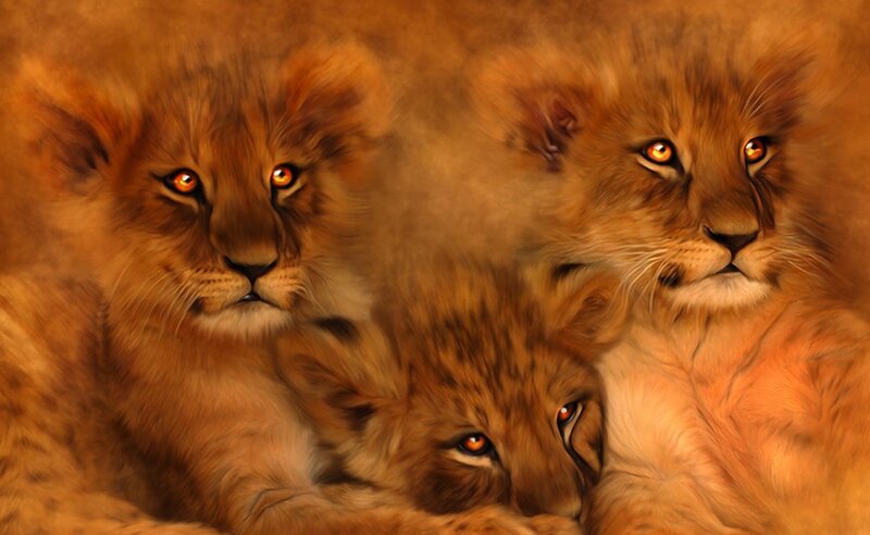 Three Lion Cubs — Brown, Calm, Digital Art