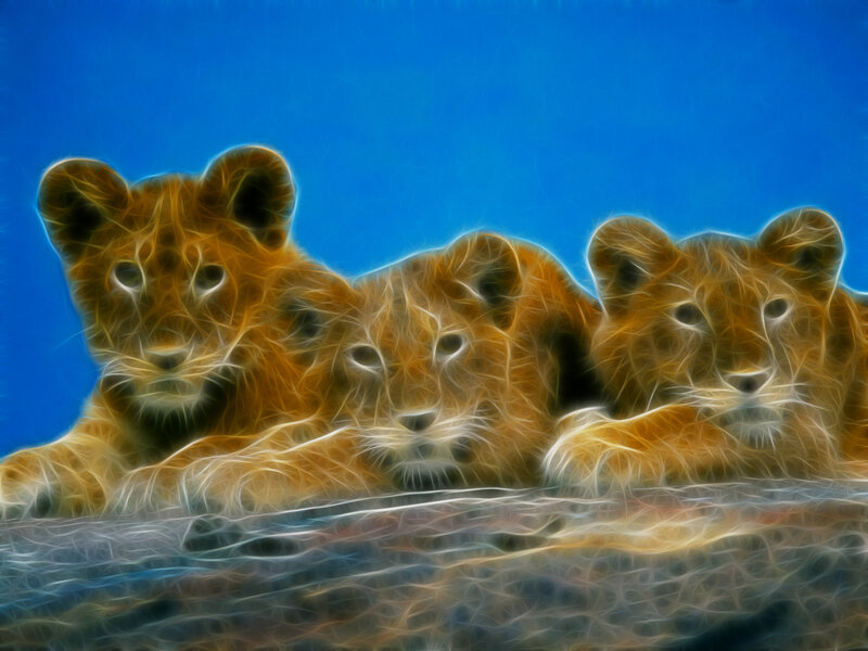 Three lion cubs in artistic style