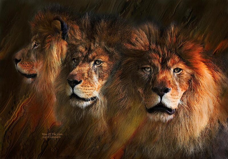 Three Lions in Profile