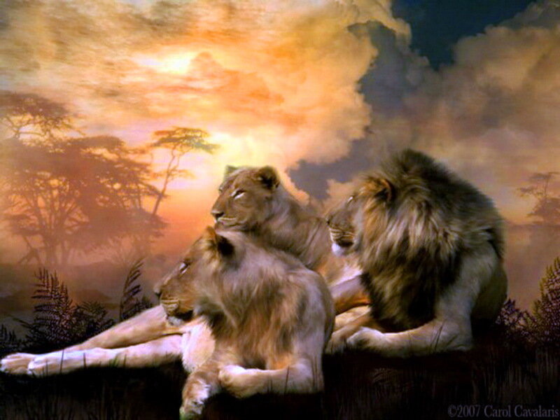 Three Lions on a Hill