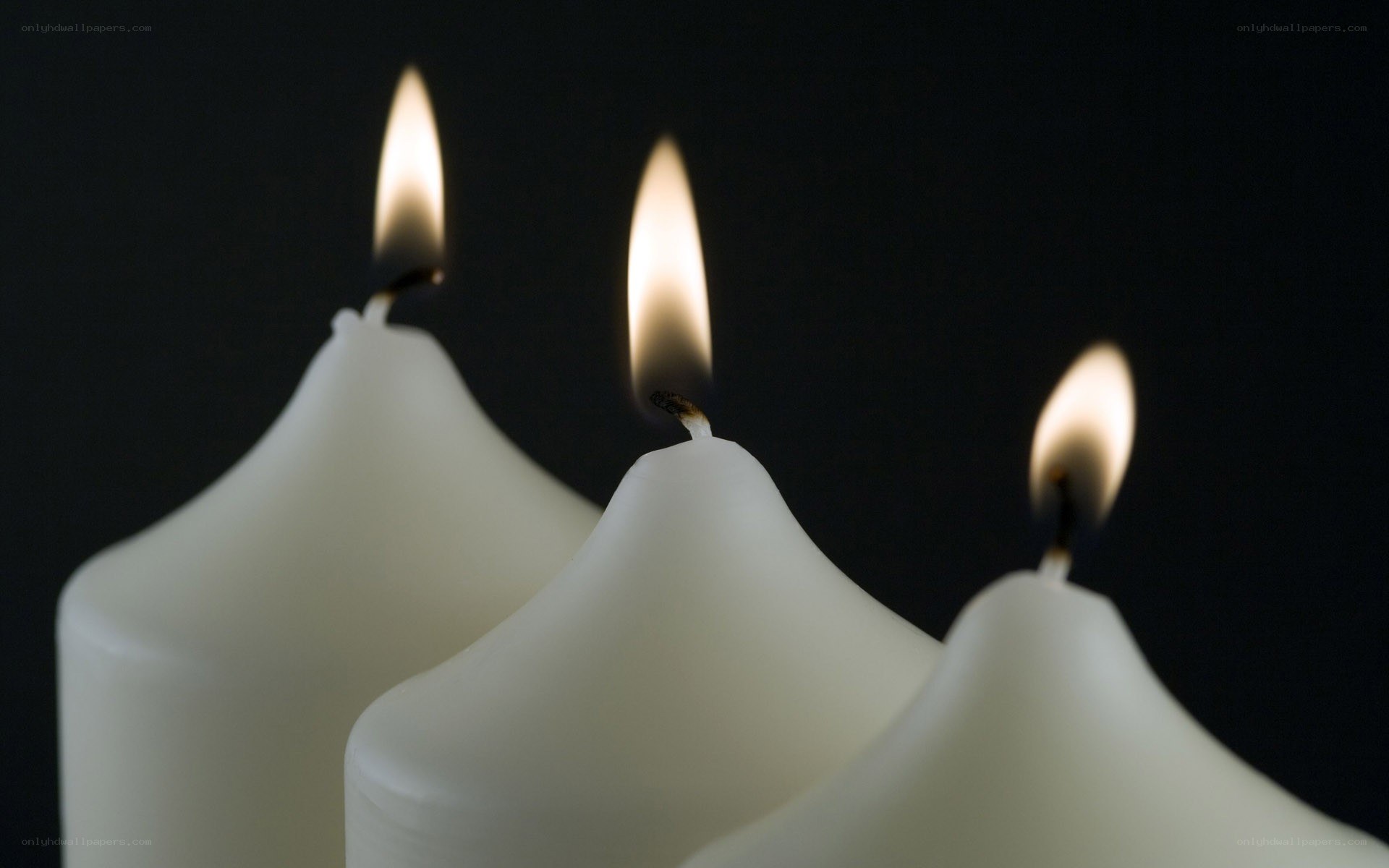 Three lit white candles
