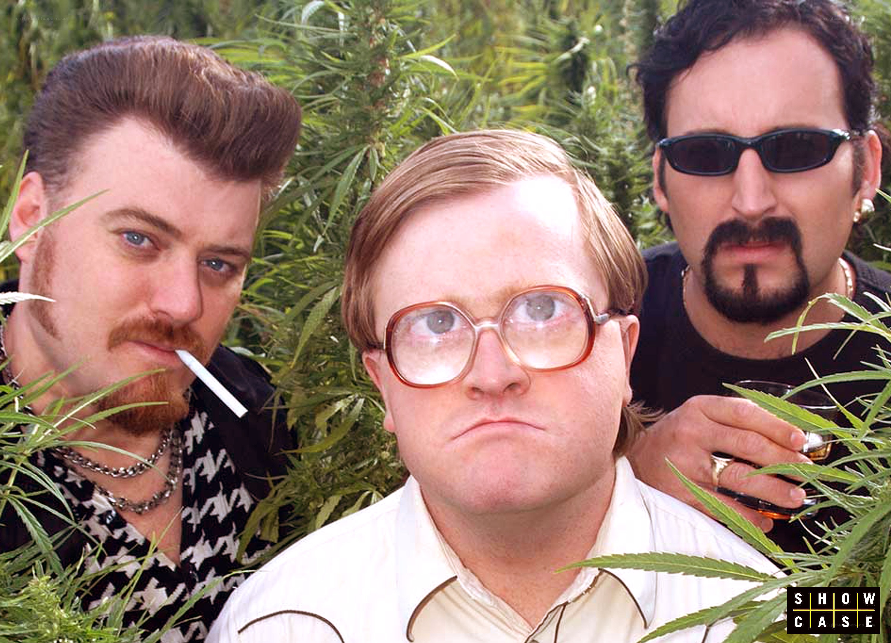 three men in a cannabis field