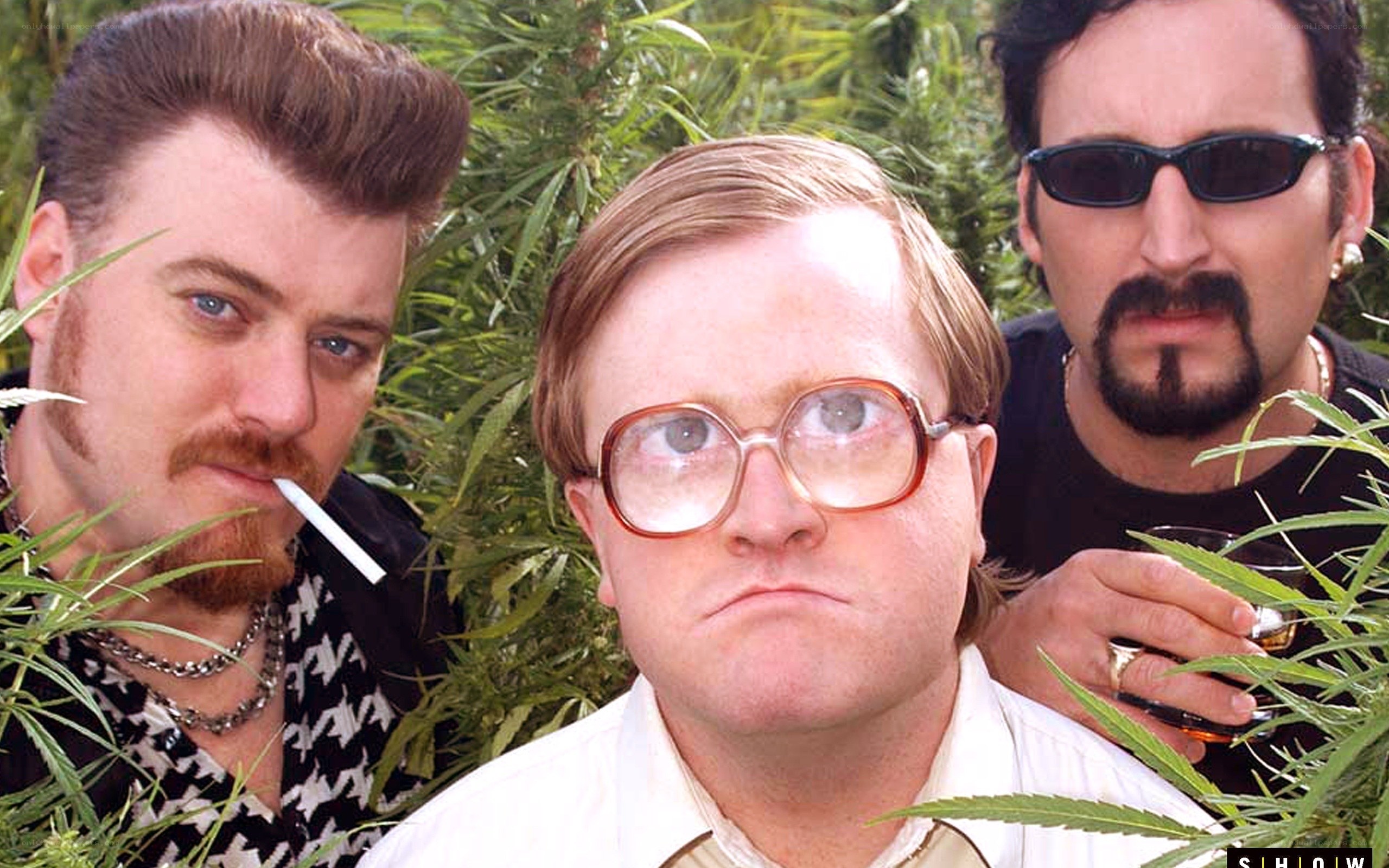 three men in cannabis field