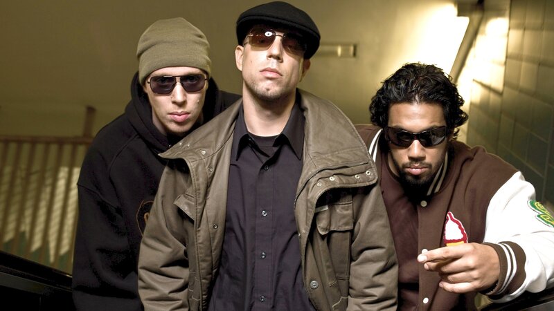 Three Men in Sunglasses — Brown