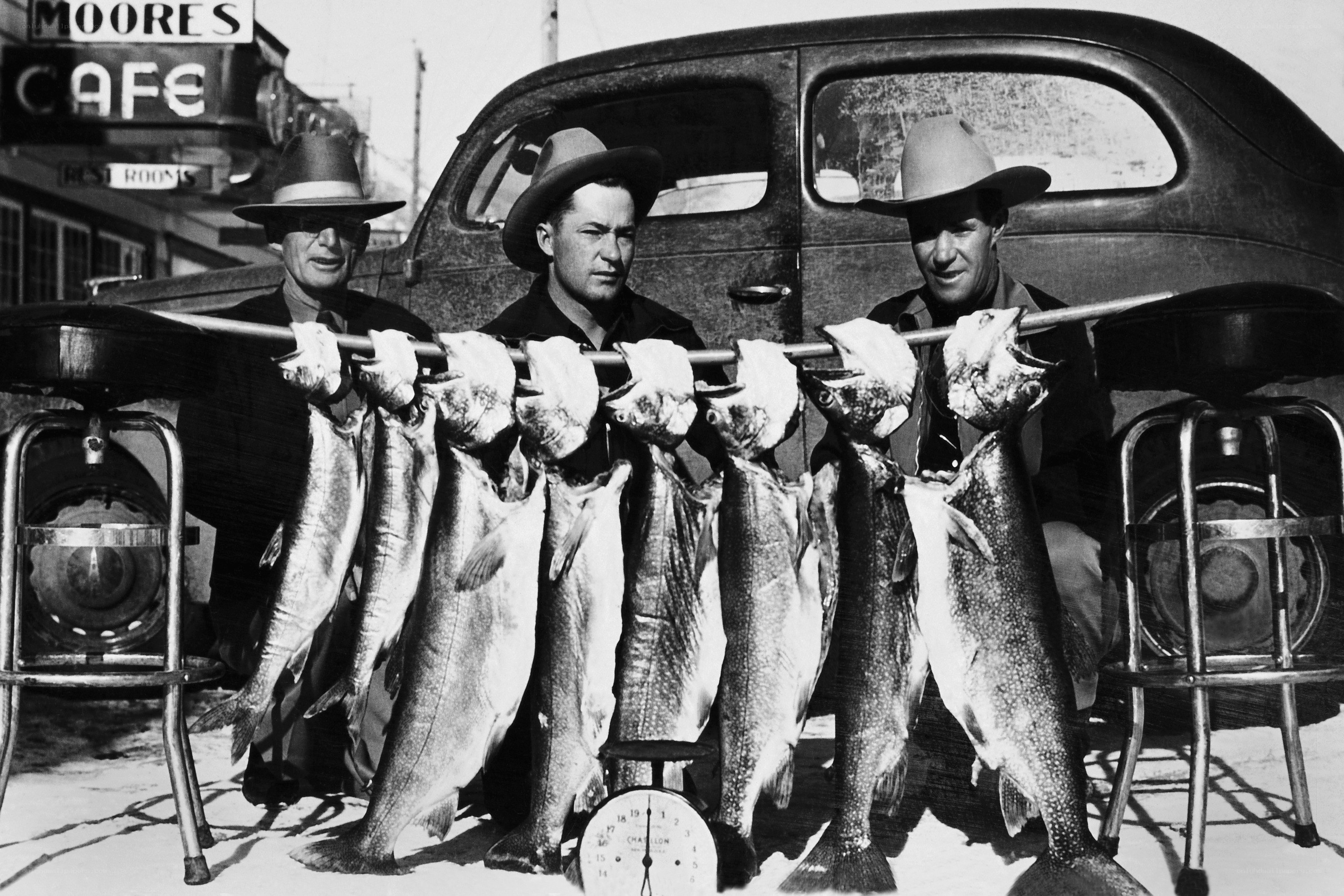 Three men with fish catch