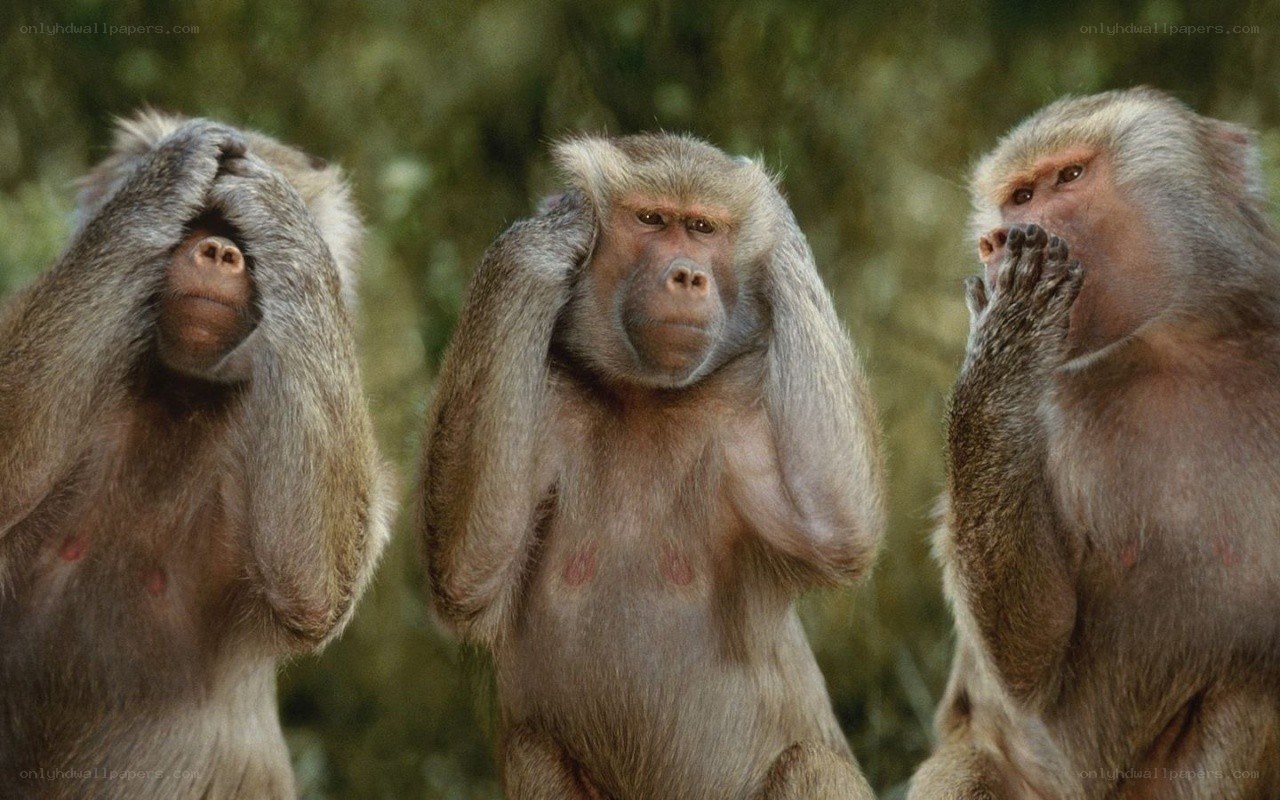 Three monkeys covering senses