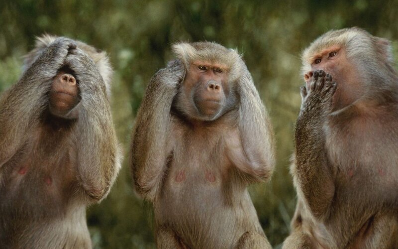 Three Monkeys Covering Senses — Brown, Neutral