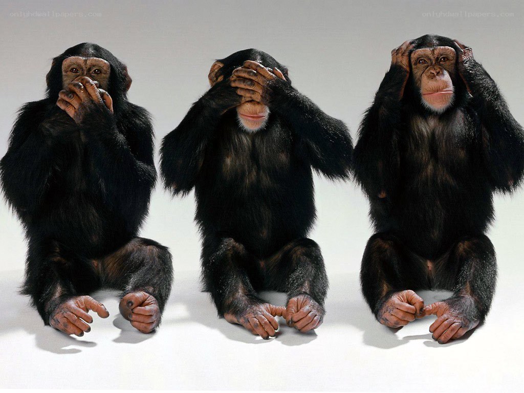 Three monkeys covering senses