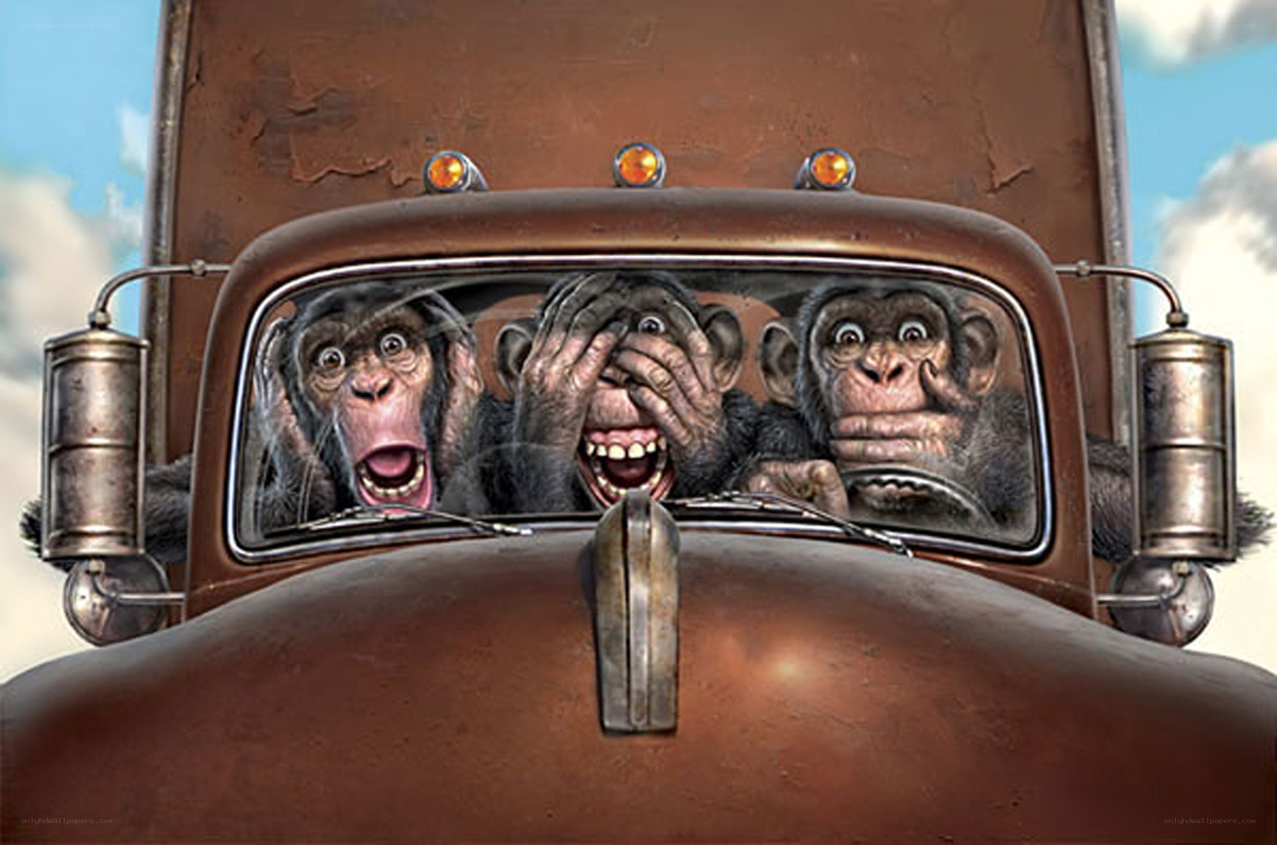 Three monkeys in a truck