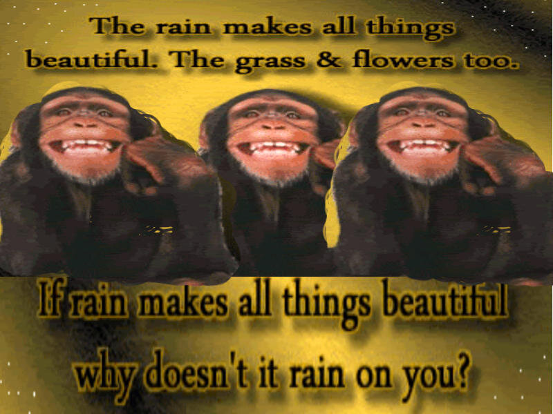 three monkeys meme