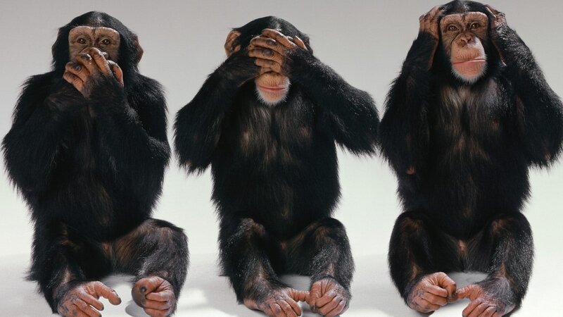 three monkeys proverb