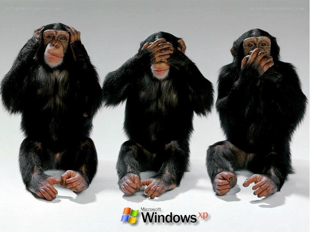three monkeys with hands covering senses