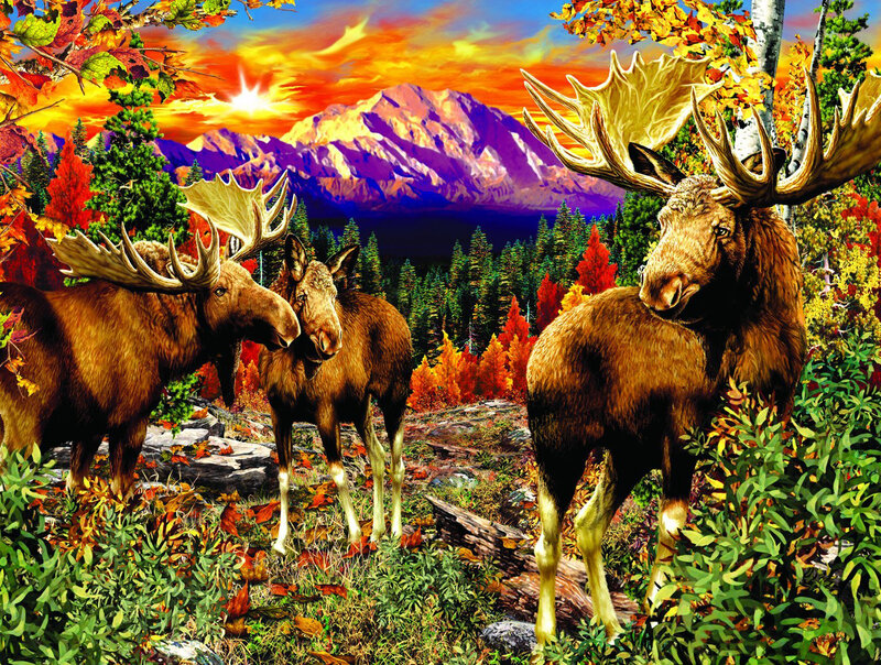 Three Moose in Forest — Orange