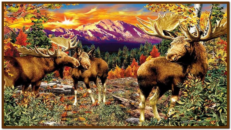 Three Moose in Forest