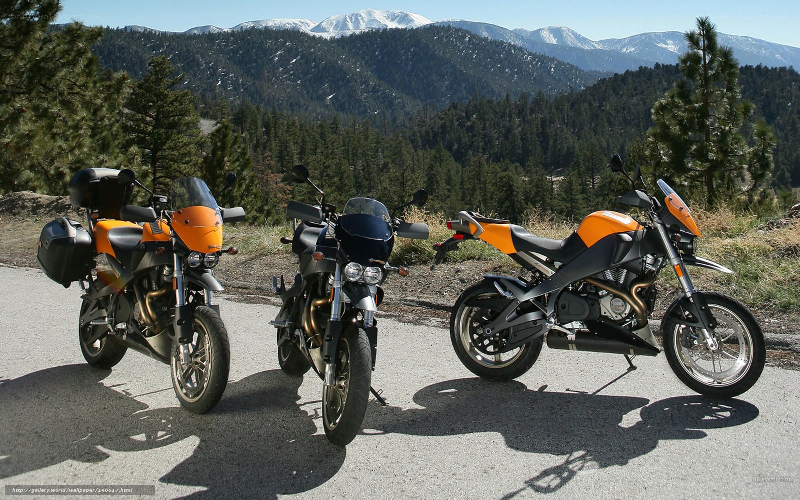 Three motorcycles on a mountain road