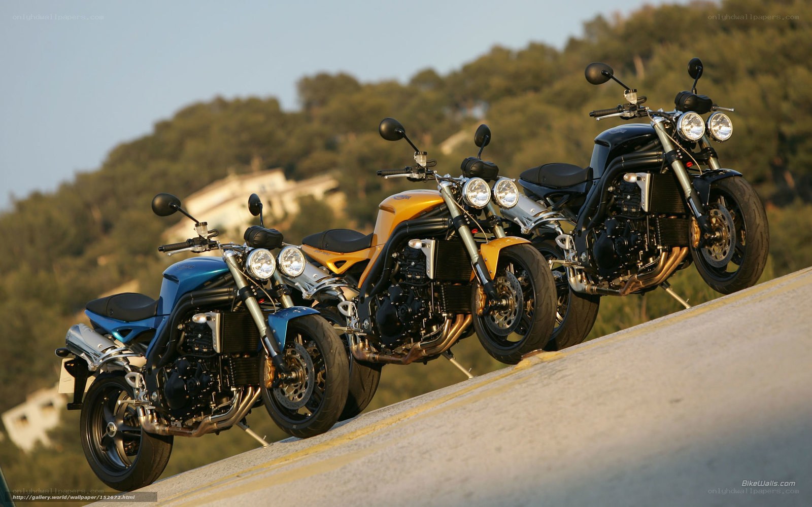 Three motorcycles on a road