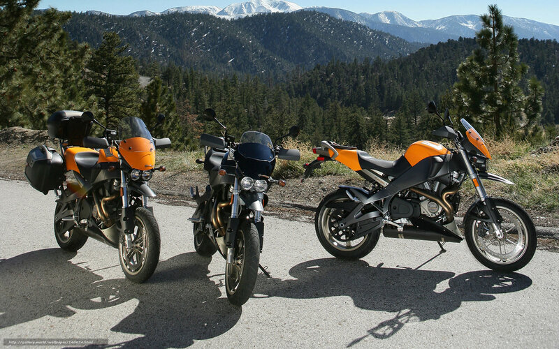 Three Motorcycles on Road