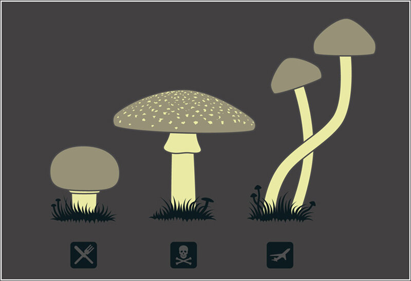 Three Mushrooms in Grass — Gray, Neutral, Illustration, Mushroom Caps