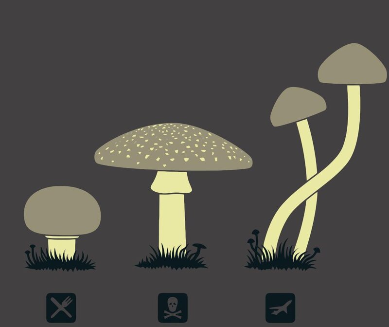 Three Mushrooms in Grass — Gray, Neutral, Vector Art, Mushroom Caps
