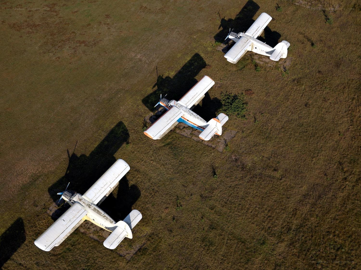 Three old planes on grass field